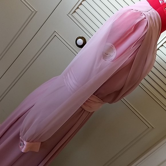 Chiffon Dress - Picture 4 of 7